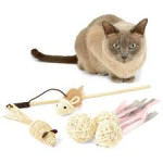 Cat Toys 貓玩具